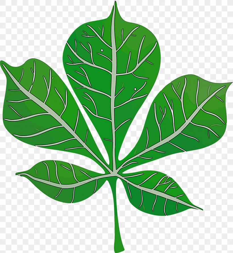 Leaf Plant Stem Herbal Medicine Plants Science, PNG, 2767x3000px, Leaf, Biology, Herbal Medicine, Plant Stem, Plant Structure Download Free