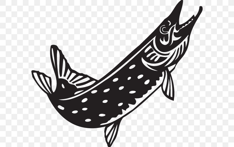 Northern Pike Clip Art Openclipart Illustration Muskellunge, PNG, 600x516px, Northern Pike, Beak, Bird, Black And White, Drawing Download Free