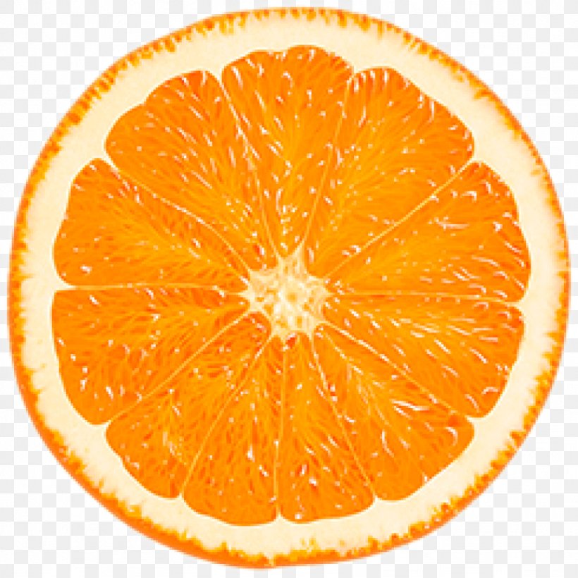 Orange Slice Citrus × Sinensis Stock Photography Color, PNG, 1024x1024px, Orange, Bitter Orange, Citric Acid, Citrus, Citrus Sinensis Download Free