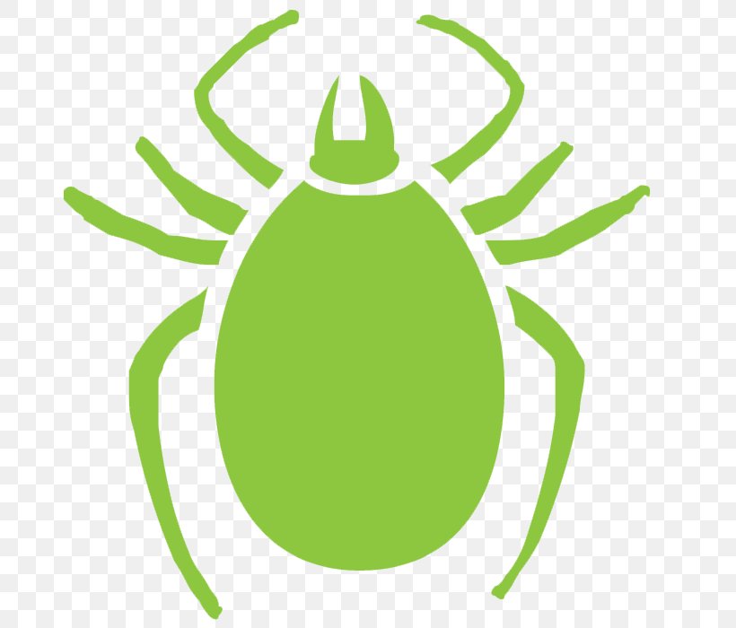 Pest Control Mosquito Control Exterminator, PNG, 700x700px, Pest Control, Amphibian, Artwork, Bed Bug, Bedbug Download Free