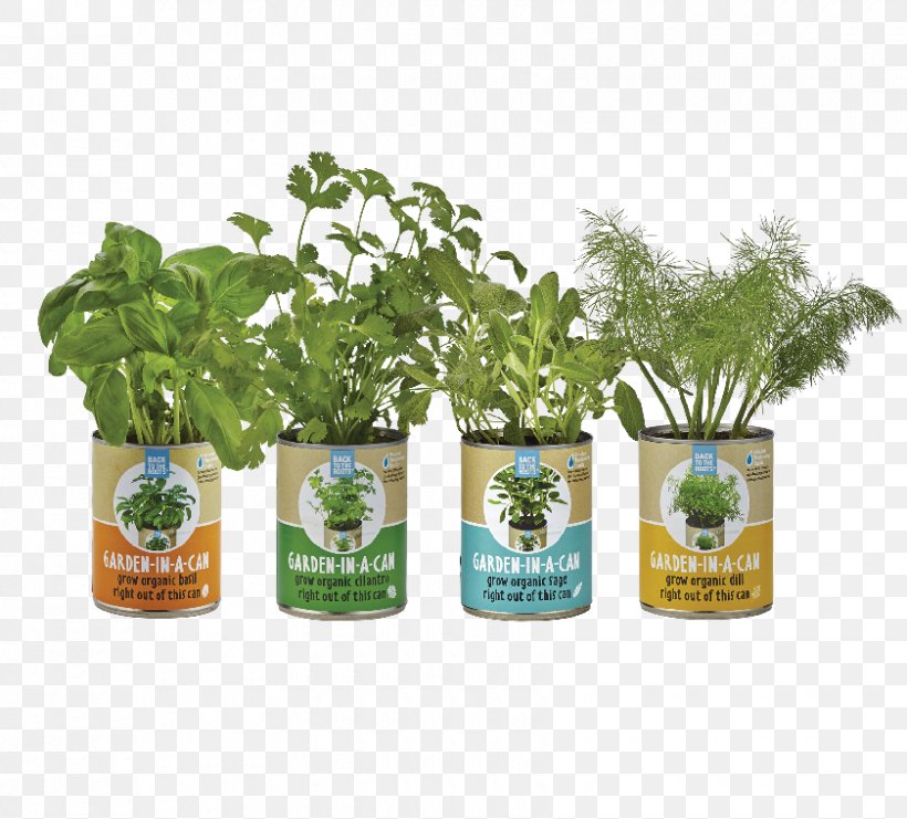 Back To The Roots Gardening Herb Aquaponics, PNG, 840x760px, Back To The Roots, Aquaponics, Back To The Roots Water Garden, Container Garden, Food Download Free