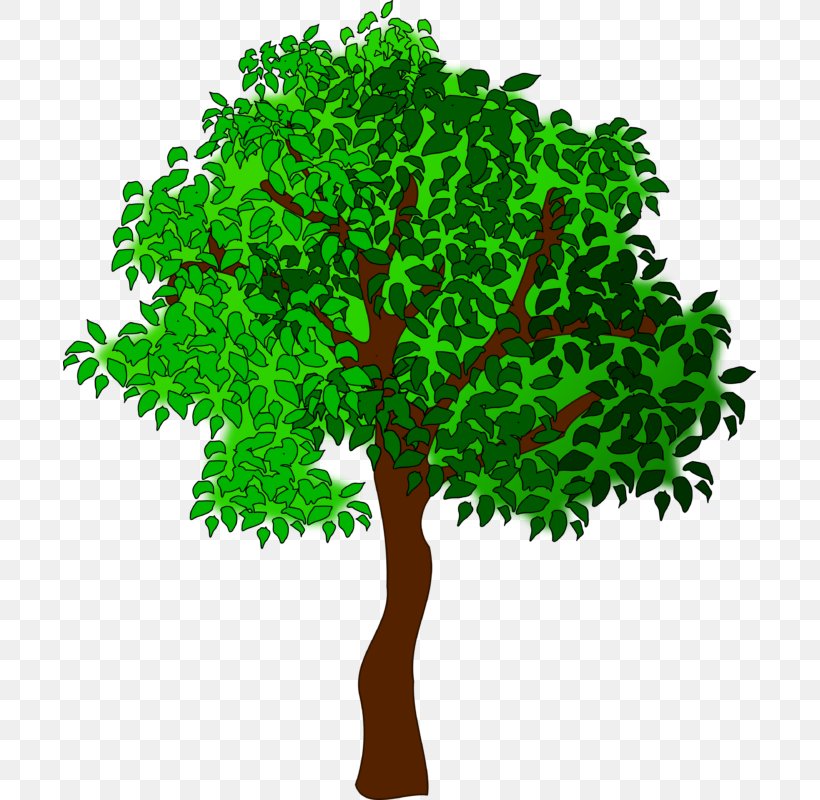 Clip Art Openclipart Tree Season Image, PNG, 693x800px, Tree, Art, Autumn, Branch, Grass Download Free