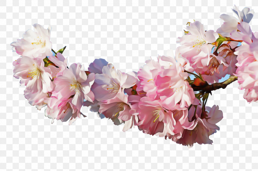 Artificial Flower, PNG, 1920x1280px, Pink, Artificial Flower, Blossom, Cherry Blossom, Crown Download Free
