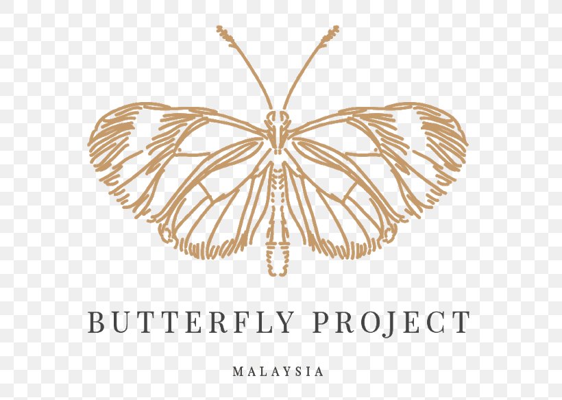 Butterfly Malaysia Insect Project Hello Butterflies!, PNG, 640x584px, Butterfly, Arthropod, Bead, Birthday, Brush Footed Butterfly Download Free