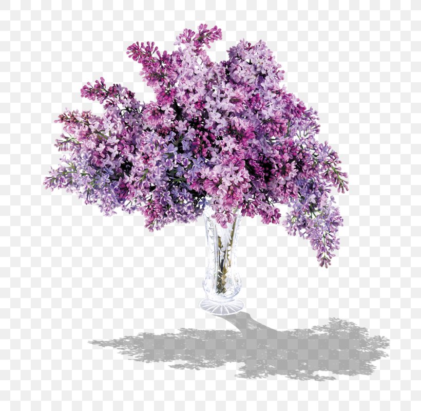 Lilac Lavender Clip Art, PNG, 799x800px, Lilac, Blossom, Branch, Cherry Blossom, Common Lilac Download Free