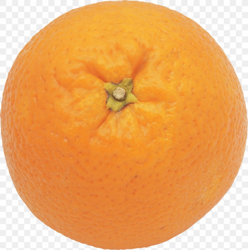 Mandarin Orange Clementine Tangelo Grapefruit Tangerine, PNG, 1588x1600px, Mandarin Orange, Bitter Orange, Calabaza, Cara Cara Navel, Citric Acid Download Free