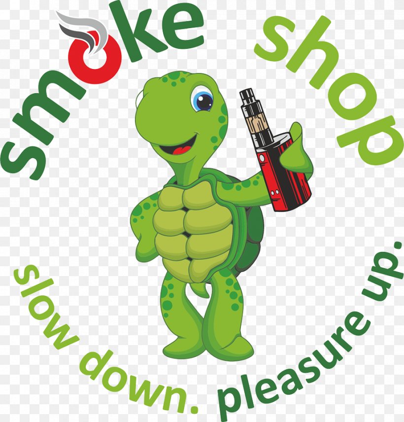 Turtle Electronic Cigarette Mesogeia Cyprus, PNG, 919x960px, Turtle, Animal, Animal Figure, Area, Character Download Free