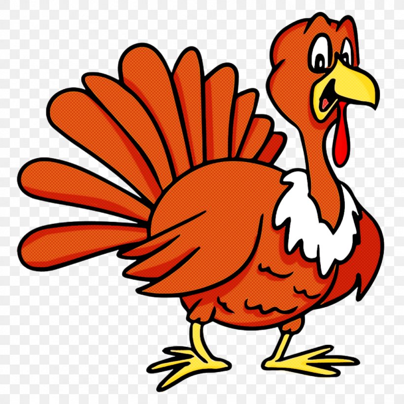 Bird Chicken Beak Rooster Cartoon, PNG, 1024x1024px, Bird, Beak, Cartoon, Chicken, Livestock Download Free