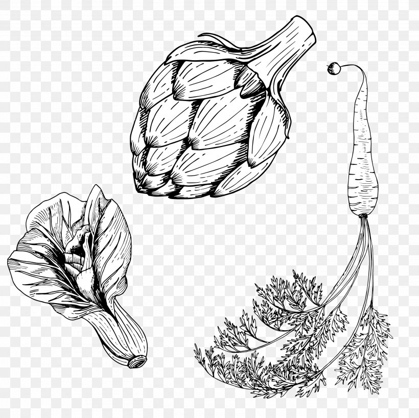 Carrot Vegetable Drawing, PNG, 2917x2917px, Carrot, Black And White, Body Jewelry, Cabbage, Chinese Cabbage Download Free