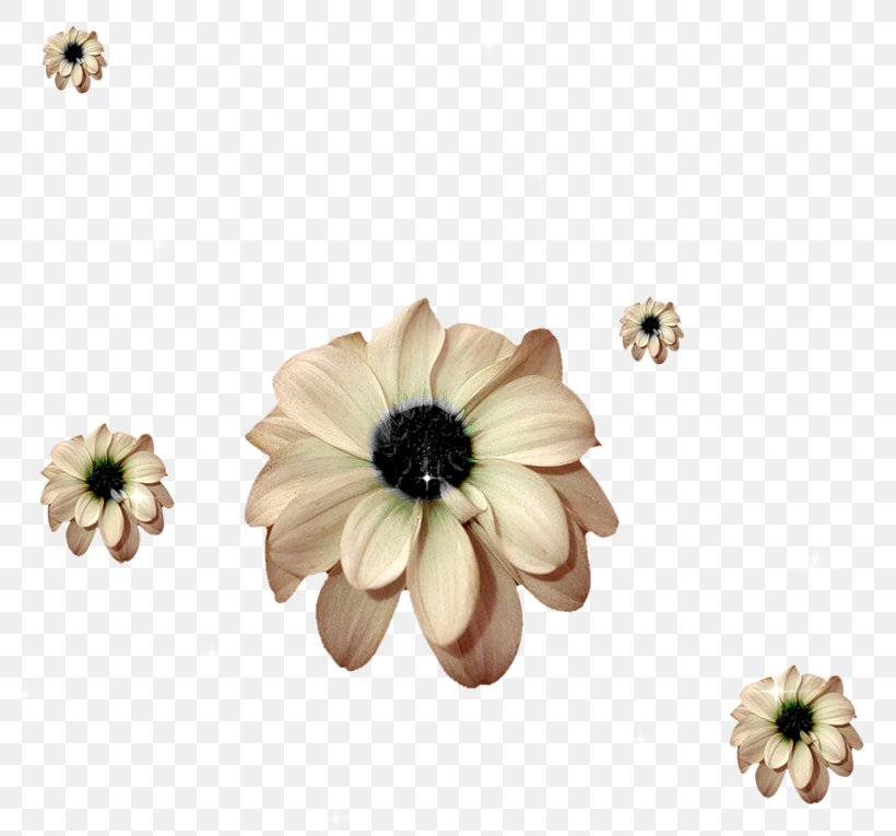 Clip Art, PNG, 800x765px, Flower, Animation, Blog, Drawing, Flowering Plant Download Free
