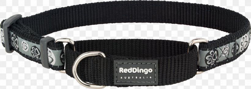 Dog Collar Cat Dingo Dog Collar, PNG, 3000x1066px, Dog, Buckle, Cat, Choker, Collar Download Free
