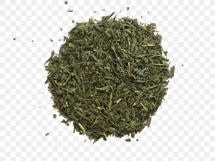 Gyokuro Nilgiri Tea Oolong Sencha, PNG, 3264x2448px, Gyokuro, Assam Tea, Bai Mudan, Bancha, Biluochun Download Free
