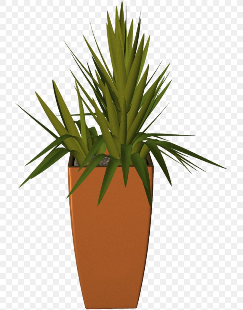 Flowerpot Plant Arecaceae, PNG, 721x1045px, Flowerpot, Agave, Arecaceae, Arecales, Digital Image Download Free