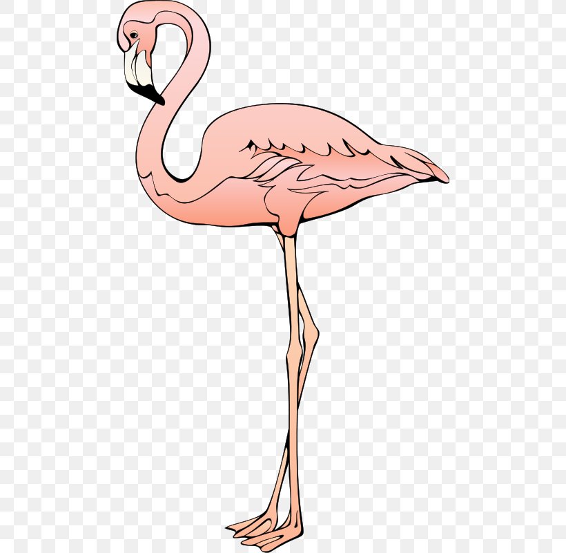 Plastic Flamingo Blog Clip Art, PNG, 482x800px, Flamingo, Area, Beak, Bird, Blog Download Free