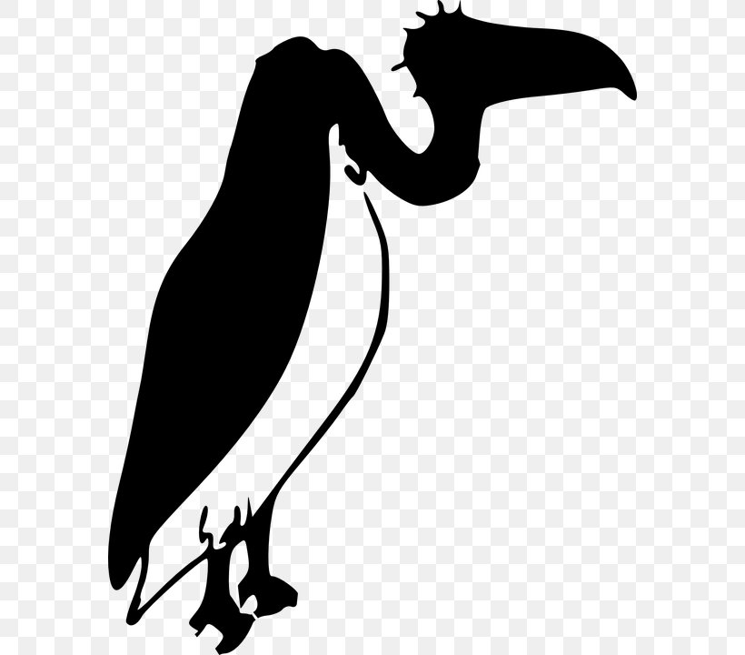 Turkey Vulture Black Vulture Clip Art, PNG, 582x720px, Turkey Vulture, Artwork, Beak, Bird, Black And White Download Free