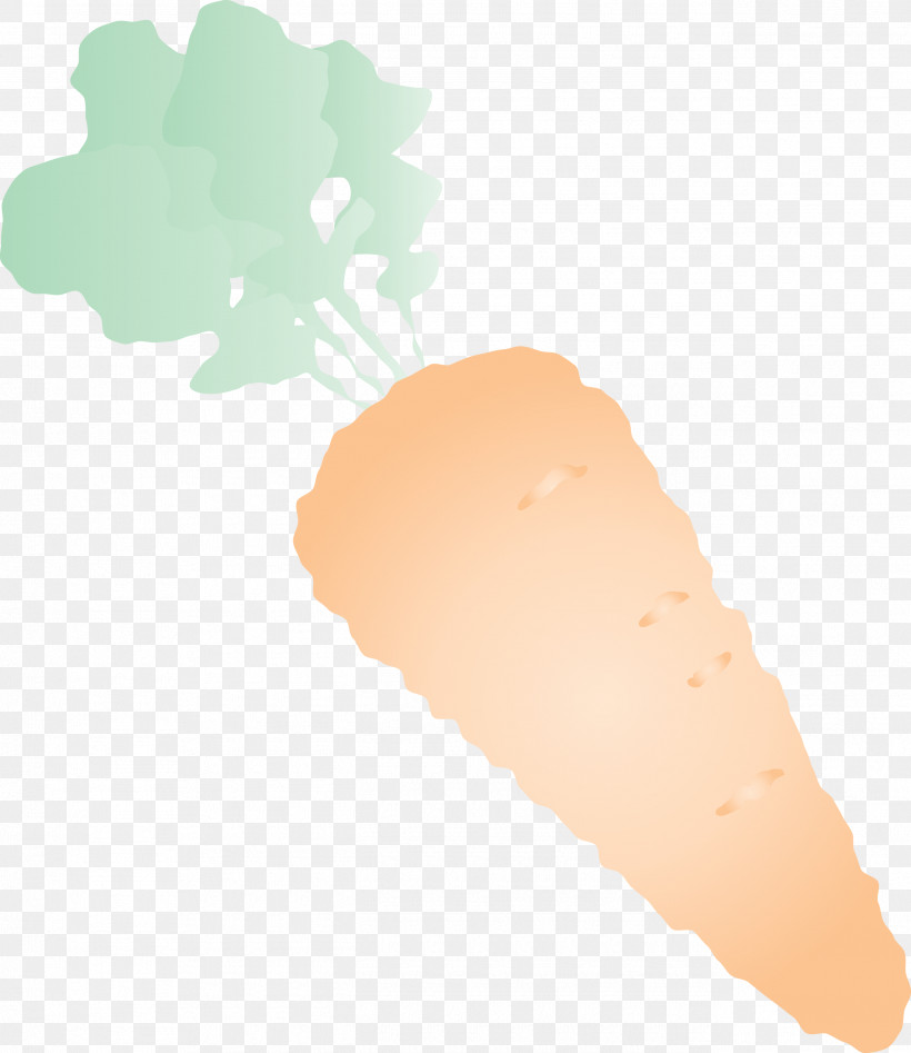 Carrot, PNG, 2595x3000px, Carrot, Meter Download Free