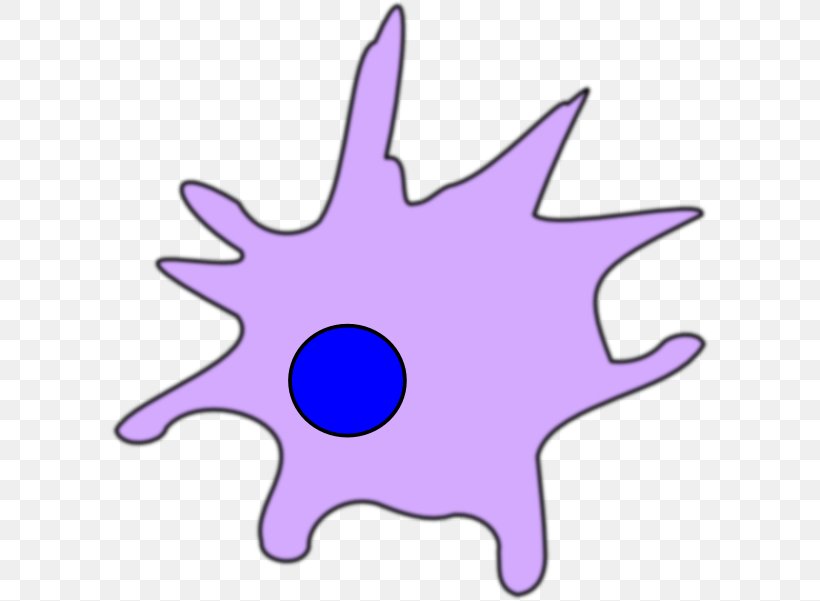 Dendritic Cell Dendrite Clip Art, PNG, 600x601px, Dendritic Cell, Area, Artwork, Blood Cell, Cell Download Free