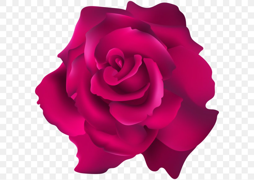 Garden Roses Floribunda Cabbage Rose Clip Art, PNG, 600x581px, Garden Roses, Blue Rose, Cabbage Rose, Chamomile, China Rose Download Free
