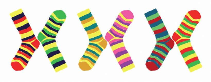 World Down Syndrome Day Sock March 21 Child, PNG, 1024x403px, World Down Syndrome Day, Awareness, Child, Chromosome, Clothing Download Free