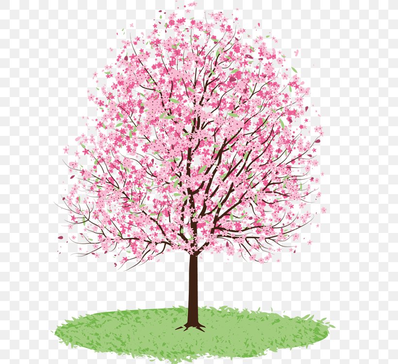 Cherry Blossom Drawing Tree Watercolor Painting, PNG, 628x750px, Blossom, Art, Branch, Cherry, Cherry Blossom Download Free