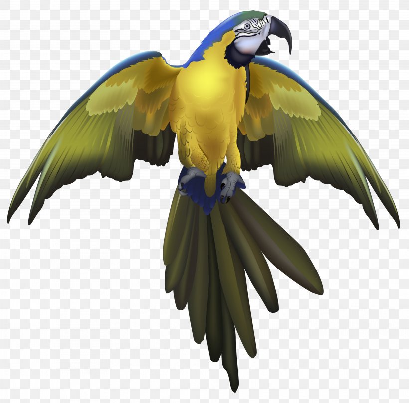 Parrot Bird Hyacinth Macaw Clip Art, PNG, 3741x3691px, Parrot, Beak, Bird, Blueandyellow Macaw, Fauna Download Free