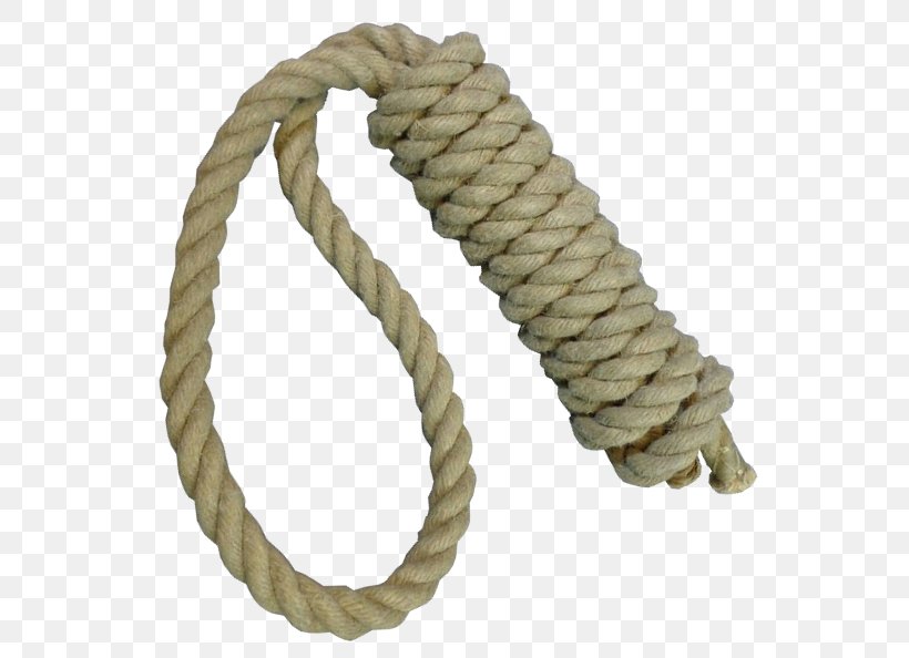Rope Noose Hanging Hangman's Knot, PNG, 588x594px, Rope, Death, Gallows, Hanging, Hardware Accessory Download Free