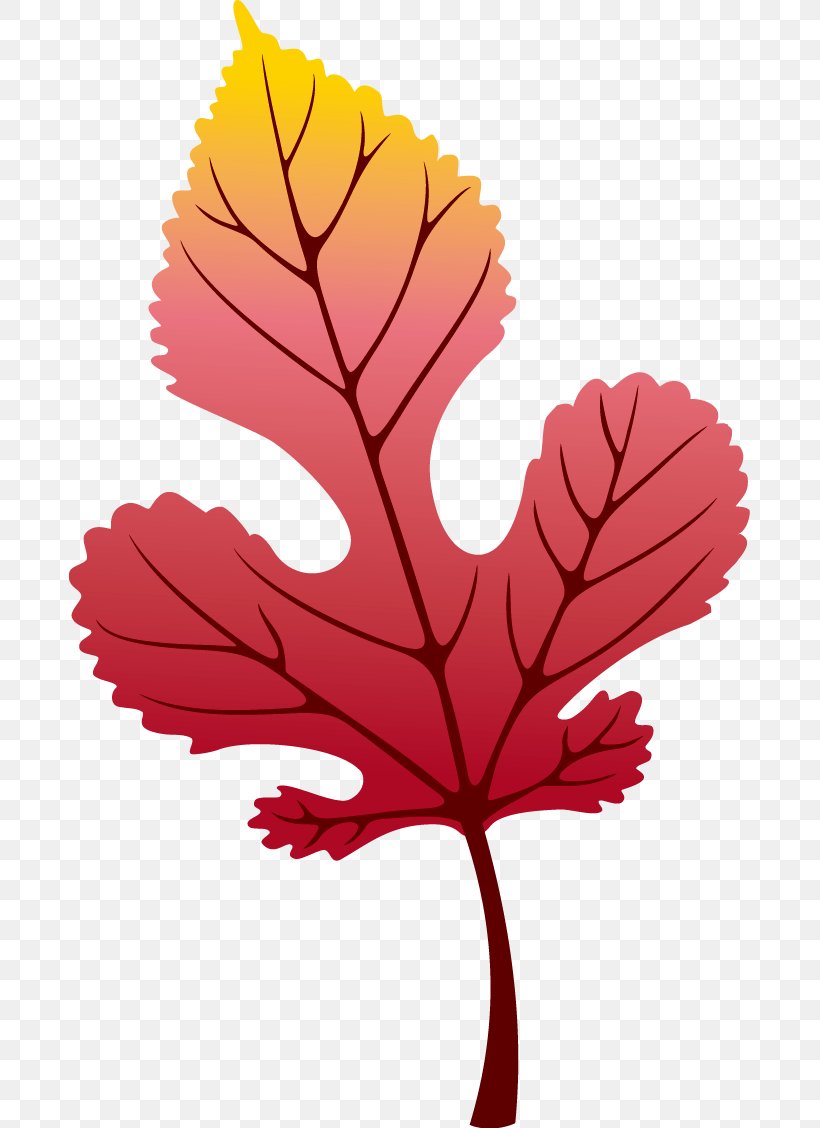 Maple Leaf Autumn, PNG, 681x1128px, Maple Leaf, Art, Autumn, Creativity, Designer Download Free