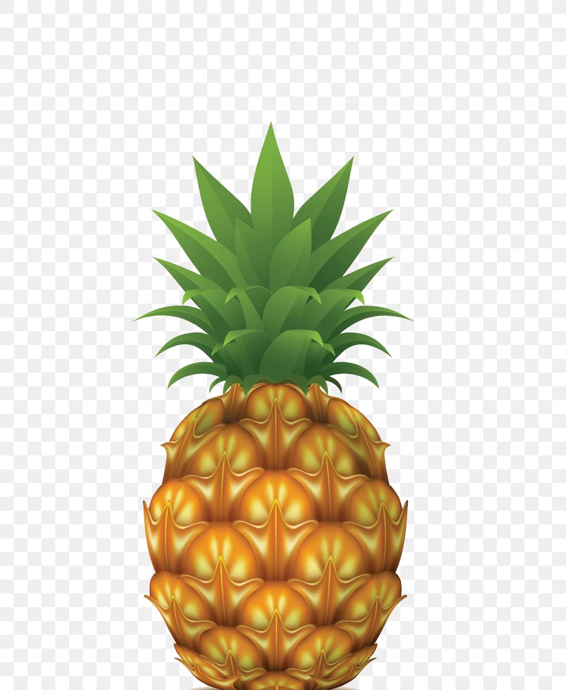 Pineapple Drawing Stock Photography Illustration, PNG, 800x1000px, Pineapple, Ananas, Bromeliaceae, Cdr, Drawing Download Free