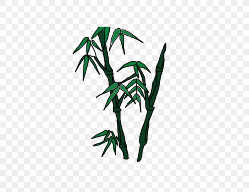 Bamboo Bambusa Oldhamii Download, PNG, 1000x771px, Bamboo, Bamboe, Bambusa Oldhamii, Branch, Flora Download Free