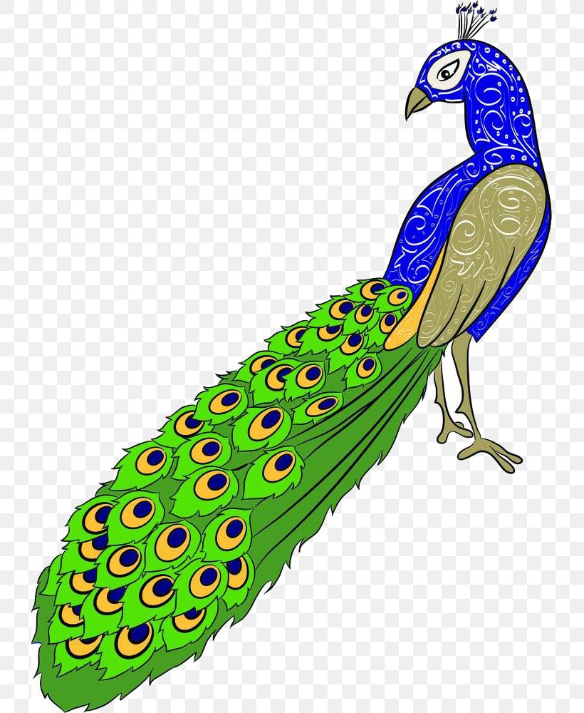 Drawing Peafowl Royalty-free Clip Art, PNG, 731x1000px, Drawing, Beak, Bird,  Cartoon, Feather Download Free