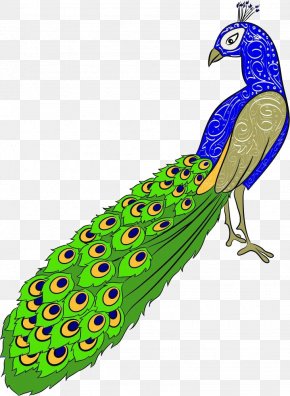 Cartoon Peacock Material - Drawing Peafowl Royalty-free Clip Art PNG