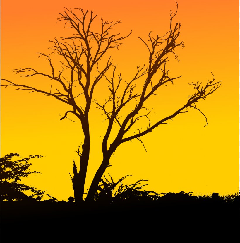 Drawing Sunset Clip Art, PNG, 2371x2400px, Drawing, Branch, Ecoregion, Evening, Grass Download Free