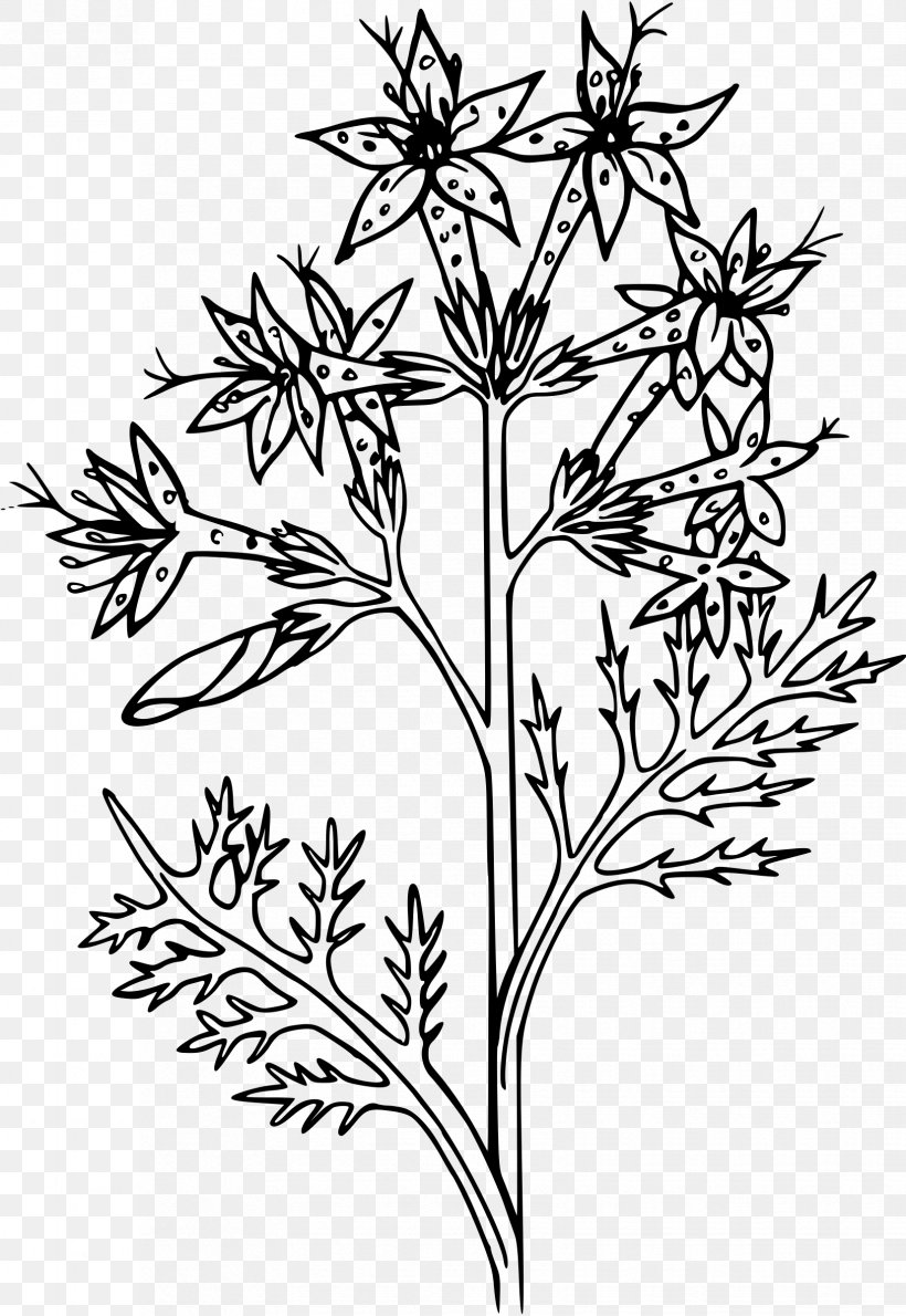 Poinsettia Coloring Book Christmas Flower Child, PNG, 1653x2400px, Poinsettia, Black And White, Branch, Child, Christmas Download Free