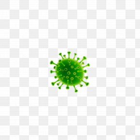 Quarantine Coronavirus Plant Stem Manuel S. Enverga University Foundation Candelaria PNG