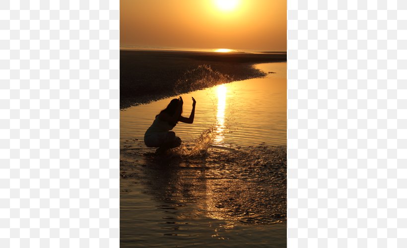 Shore Beach Sunrise Sunset Evening, PNG, 500x500px, Watercolor, Cartoon, Flower, Frame, Heart Download Free