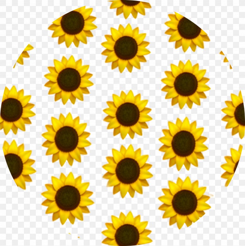 Desktop Background Sunflower Background Aesthetic