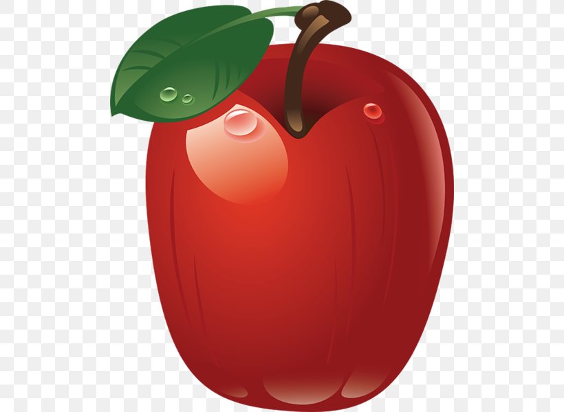 Apple, PNG, 500x600px, Apple, Food, Fruit, Mcintosh, Plant Download Free