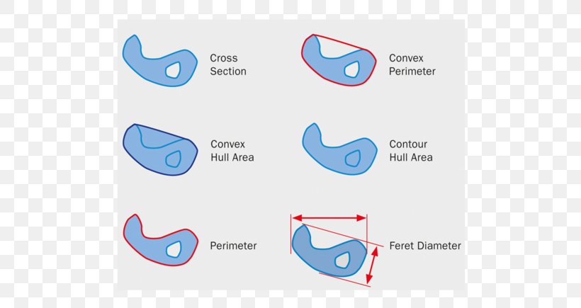 Fritsch Logo Diameter Product Computer Software, PNG, 780x435px, Logo, Blue, Brand, Computer Software, Conflagration Download Free