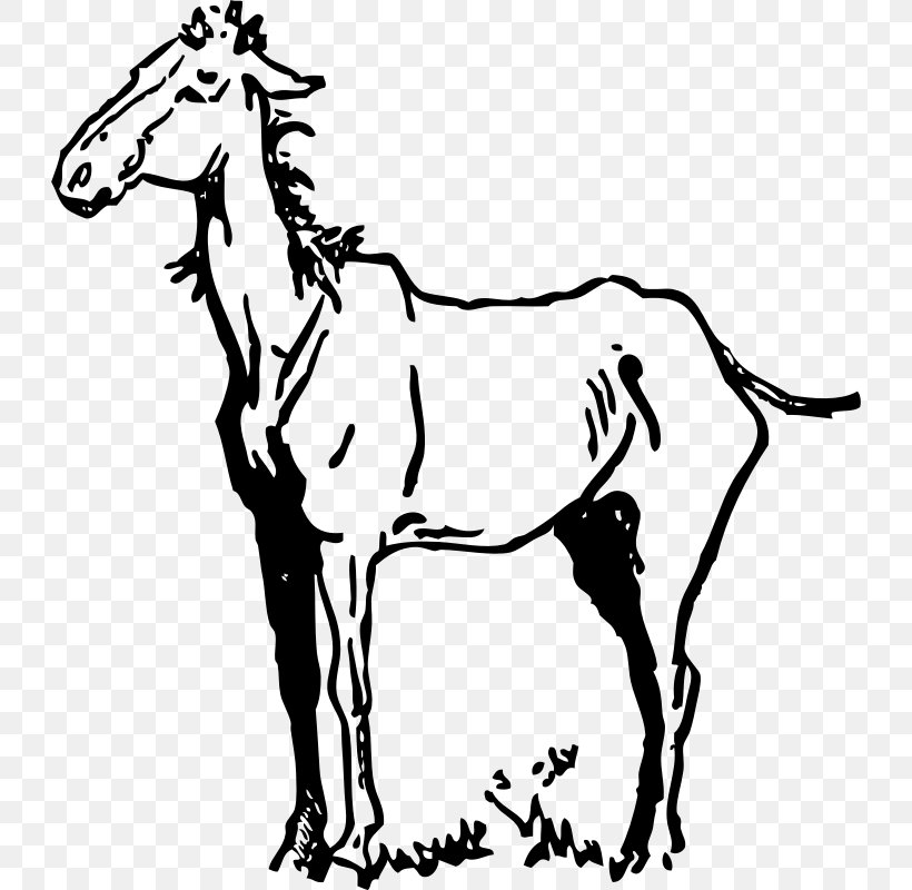Mustang Clip Art Friesian Horse Openclipart Equestrian, PNG, 728x800px, Mustang, Animal Figure, Art, Black, Black And White Download Free
