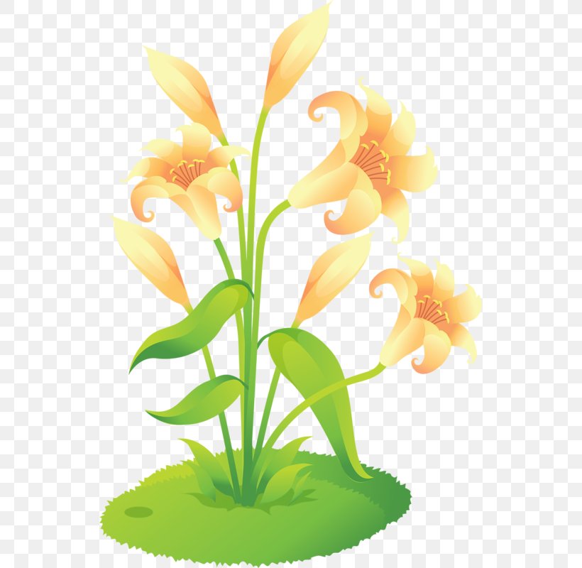 Flower Lilium Euclidean Vector Clip Art, PNG, 539x800px, Flower, Aquarium Decor, Art, Cut Flowers, Flora Download Free
