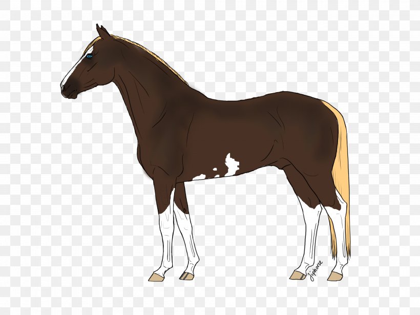 American Quarter Horse Arabian Horse Pony Equestrian Equine Coat Color, PNG, 4000x3000px, American Quarter Horse, Animal Figure, Arabian Horse, Breed, Bridle Download Free