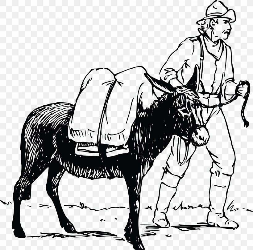 Donkey Mule Male Drawing Clip Art, PNG, 4000x3963px, Donkey, Art, Black And White, Bridle, Cartoon Download Free