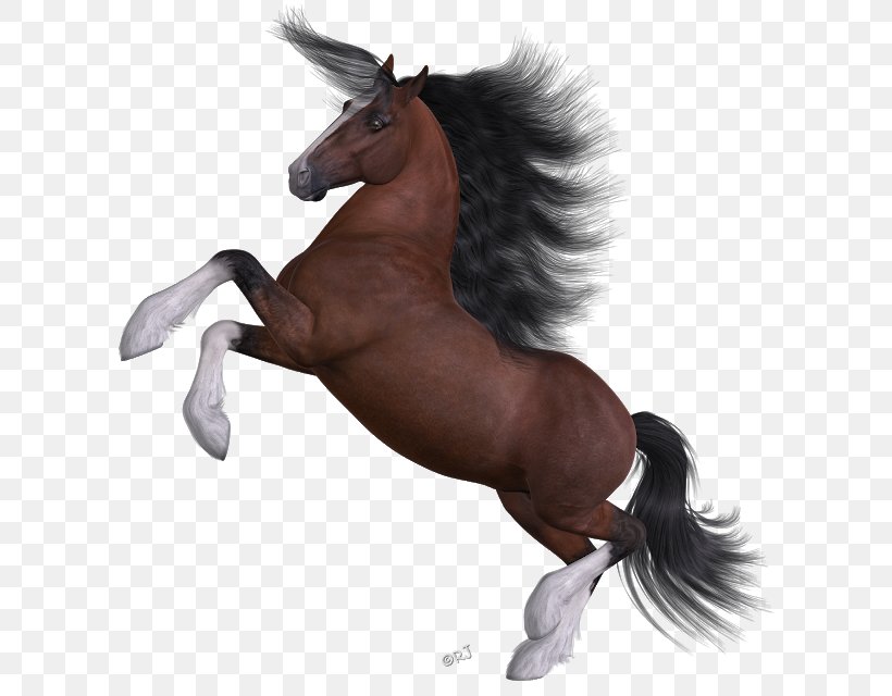 Mane Mustang Stallion Pony Halter, PNG, 626x640px, Mane, Animal Figure, Fictional Character, Halter, Horse Download Free
