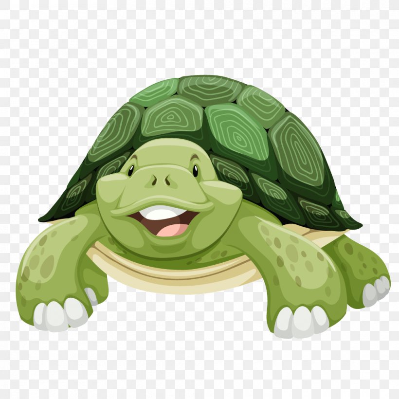 Sea Turtle Clip Art, PNG, 1010x1010px, Turtle, Box Turtle, Diagram, Green, Green Sea Turtle Download Free