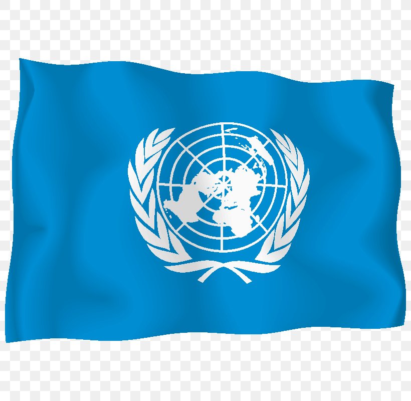 United Nations Headquarters Flag Of The United Nations United Nations Office For The Coordination Of Humanitarian Affairs, PNG, 800x800px, United Nations Headquarters, Aqua, Blue, Electric Blue, Flag Download Free