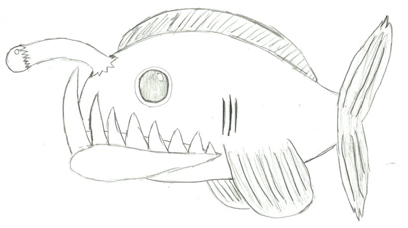 Drawing Angelfish Anglerfish Sketch, PNG, 1024x572px, Drawing, Angelfish, Anglerfish, Art, Artwork Download Free