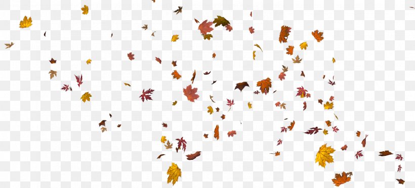 Leaf Autumn Download, PNG, 1492x679px, Leaf, Autumn, Autumn Leaf Color, Branch, Green Download Free