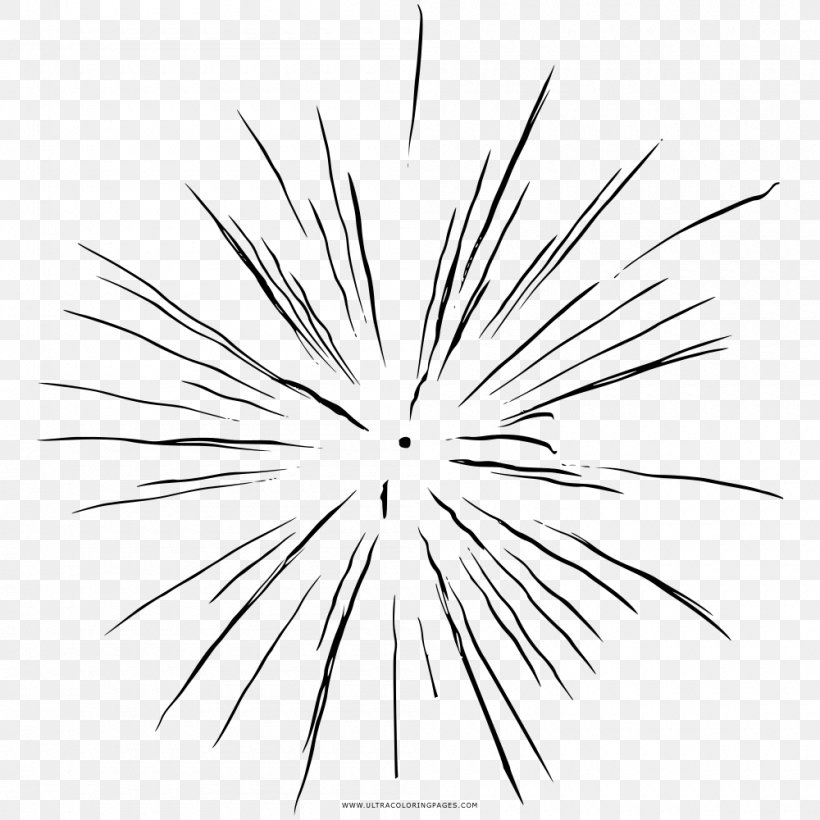 Line Art Drawing Coloring Book Fireworks Black And White, PNG, 1000x1000px, Line Art, Artwork, Black And White, Branch, Coloring Book Download Free