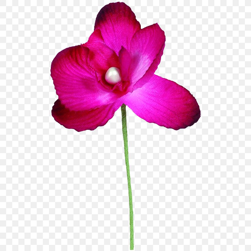Plant Stem Flower Garden Roses Color Violet, PNG, 500x820px, Plant Stem, Artificial Flower, Blue, Color, Cut Flowers Download Free