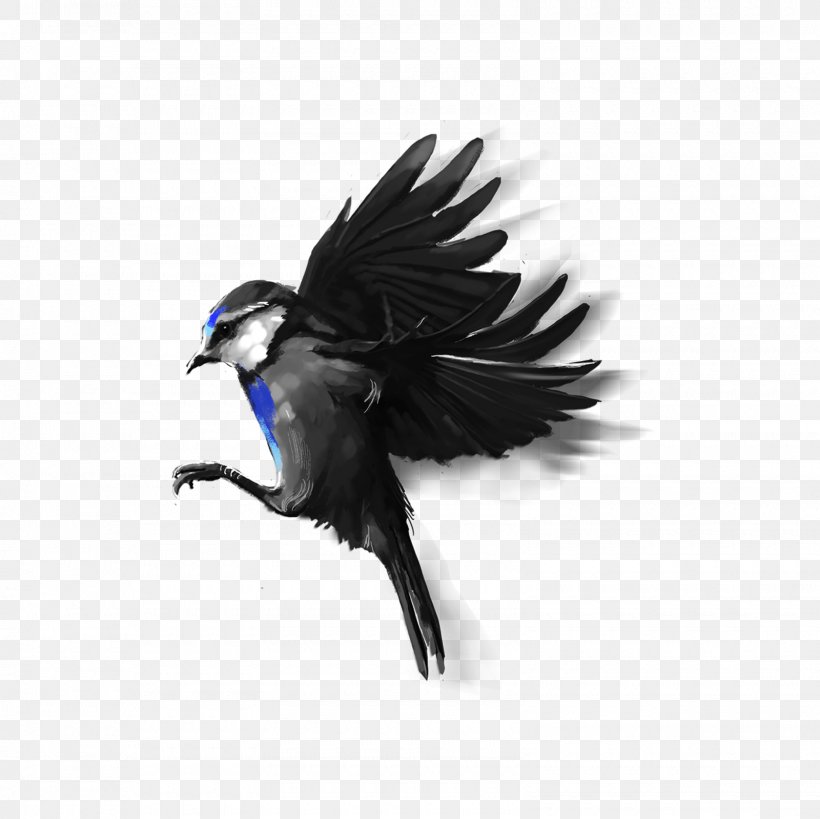 Bird PicsArt Photo Studio Beak Flight, PNG, 1600x1600px, Bird, Beak, Common Raven, Crow Like Bird, Eagle Download Free